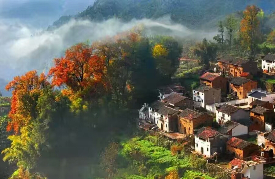 龍池汰
