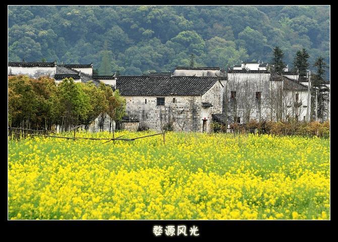 婺源風(fēng)光無限好