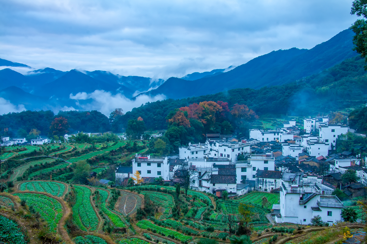 秋到江嶺